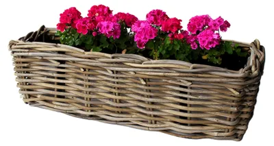 Produktbild von Balkonkorb - Rattan geflochten -60 x 20 x 16 cm - Blumen/Pflanzen - Zaunkorb - Hangekorb