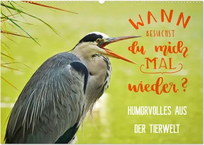 Produktbild von Humorvolles aus der Tierwelt (Wandkalender 2025 DIN A2 quer), CALVENDO Monatskalender