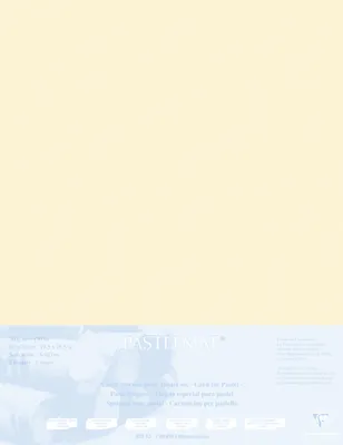 Produktbild von Clairefontaine Papier für Pastellmalerei 5 Bogen 50x70cm Maisfarben 496023C