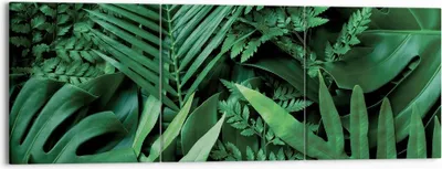 Produktbild von Bild auf Leinwand - Leinwandbild - 3 Teile - Exotisch Blätter Monstera - 150x50cm - Wand Bild - Wanddeko - Wandbilder - Leinwanddruck - Bilder - Wanddekoration - Leinwand bilder - CA150x50-4746