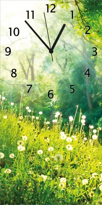Produktbild von Wallario Design Wanduhr Pusteblumen im Wald mit einfallenden Sonnenstrahlen aus Echtglas, Größe 30 x 60 cm
