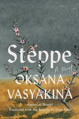 Produktbild von Steppe