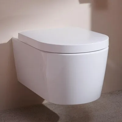 Obrázok produktu pre HANSGROHE 60292450 Závesný WC set EluPura S 540 mm