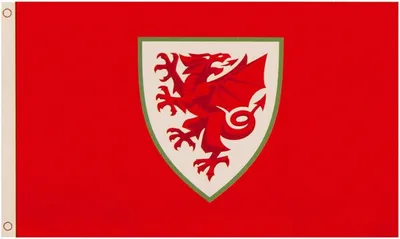 Produktbild von Wales - Vlajka "Core", erb BS3313 (jedna veľkosť) (červená)