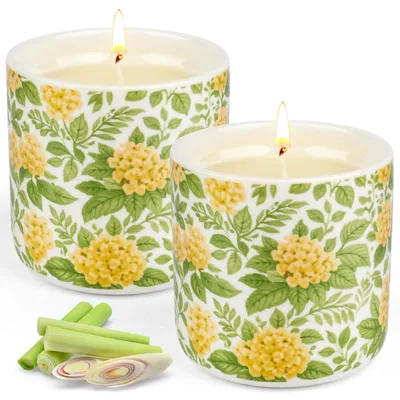 Immagine prodotto di Candele alla citronella per esterni, in Vetroceramica, confezione da 2 pezzi | 240 ore di durata, cera di soia, colore verde