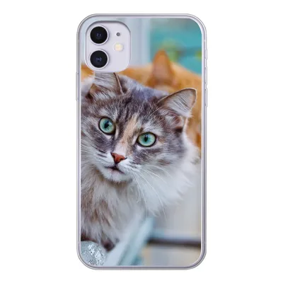 Produktbild von MuchoWow® Handyhülle Schutzhülle Hülle für iPhone 11 Katze - Fenster - Katzen Silikon Softcase Handy Hülle - Handytasche