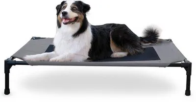 Produktbild von Erhöhtes Hundebett, atmungsaktive, kühlende Hängematte, waschbar, metallisch, für große Hunde