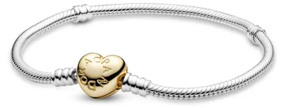 Produktbild von PANDORA Damen-Charm-Armbänder 925 Sterlingsilber 560719-23