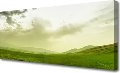 Produktbild von Tulup Leinwand-Bilder 125x50 Wandbild Canvas Kunstdruck Wiese Natur