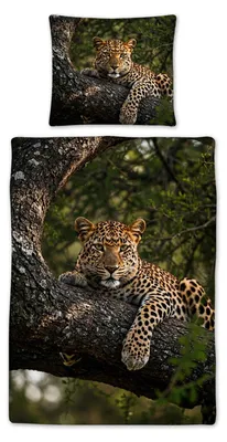 Produktbild von Traumschlaf Bettwäsche Leopard 135x200 cm + 80x80 cm