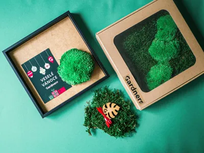 Produktbild von Gardners Weihnachtsgeschenk-Set – Moosbild "Selbst gestalten" 22x22 cm, Kombination aus krausem und flachem Moos, schwarz