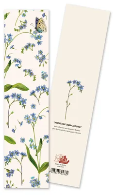 Image de Marque-page 9433 "Nontiscordardime" (Myosotis)
