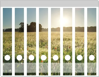 Produktbild von Wallario Ordnerrücken Sticker, selbstklebend für schmale Ordner, 8 Stück, Motiv Wiese im Licht der Abendsonne