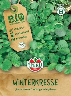 Artikelbild 2 von 'Winterkresse' aus der Kategorie Kressesamen