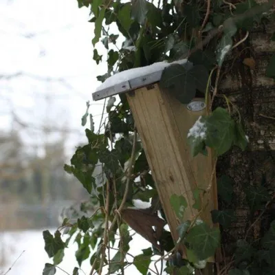 Immagine prodotto di Cassetta nido Esschert Design per giardino; NKBK