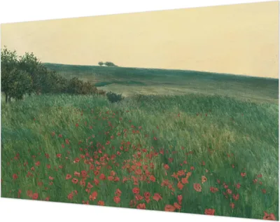 Zdjęcie produktu dla Tapeta ścienna – tapeta dekoracyjna do salonu – folia tapetowa do dekoracji ścian – 104 x 70 cm – pola makowe