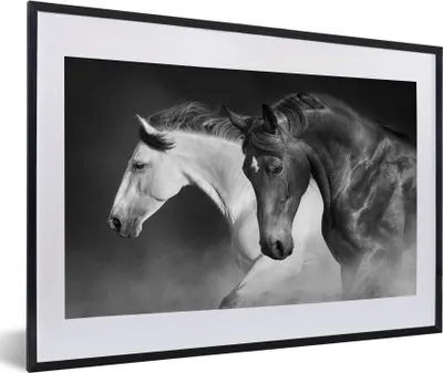 Produktbild von MuchoWow® Gerahmtes Poster Pferde - Tiere - Schwarz - Weiß - Porträt 60x40 cm - Poster mit Schwarzem Bilderrahmen Wandposter Rahmen Foto Bilder - Schlafzimmer - Plakat in Rahmen - Drucken