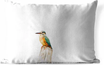 Produktbild von MuchoWow® Outdoor Kissen - Eisvogel - Federn - Pfahl - 60x40 cm - Wetterfest - Lounge Kissen - Zierkissen - Kissen für Innenräume