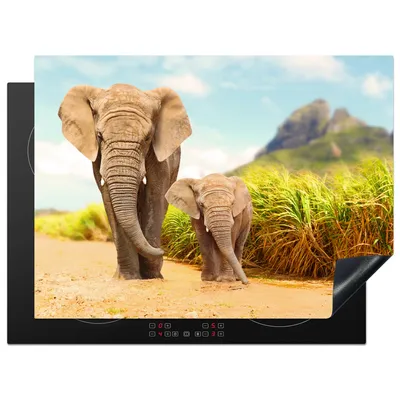 Produktbild von KitchenYeah© Herdabdeckplatte Elefanten - Tiere - Natur , 71x52cm, Küche Deko, Glaskeramikkochfeld Herdabdeckung, Abdeckplatte fùr Kochfeld