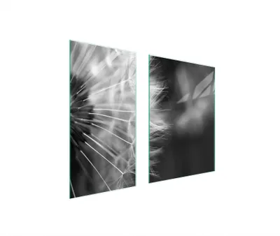 Image de Plaques de recouvrement pour cuisinière 2 pièces 75x52 Couverture de champ en vitrocéramique Planche à découper Pissenlit Fleur