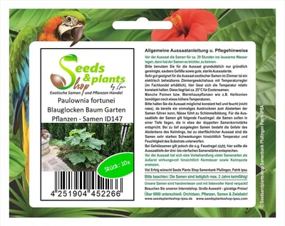 Produktbild von 10x Paulownia fortunei Blauglocken Baum Garten Pflanzen - Samen ID147