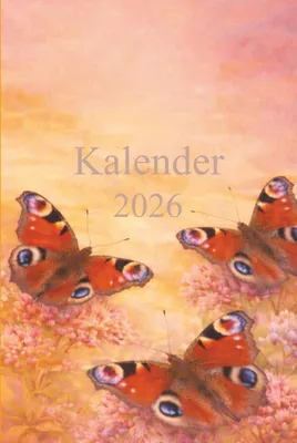 Imagen del producto de Calendario 2026 - Distribución por meses