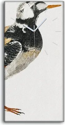 Produktbild von Wandbild Leinwand Bilder Wanduhr Geräuschlos 30x60 Zeichnung Tier Vogel Kunst - weiße Hände