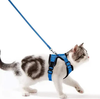 Produktbild von Katzenharness mit Leine, ausbruchsicher, Katzenleine, Set, verstellbar, weiches Katzenwesten mit reflektierenden Streifen, Brustgeschirr für kleine Kätzchen (blau, XXS)