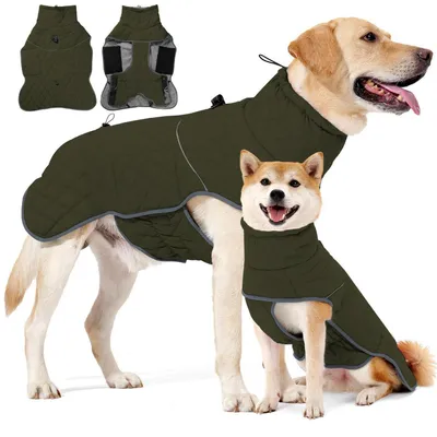 Image de Manteau pour chien, hiver, imperméable, chaud, en polaire, réfléchissant, couleur vert