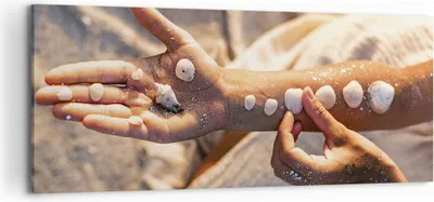 Produktbild von Bild auf Leinwand - Leinwandbild - Einteilig - Muschel Hand Strand - 120x50cm - Wand Bild - Wanddeko - Wandbilder - Leinwanddruck - Bilder - Wanddekoration - Leinwand bilder - Wandbild - AB120x50-5102