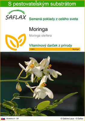 Produktbild von SAFLAX - moringa - Moringa oleifera - 10 Semená - S pestovateľským substrátom bez klíčkov
