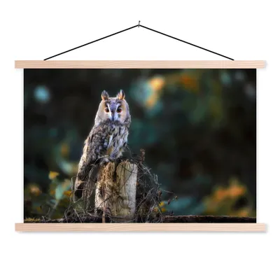 Produktbild von MuchoWow® Textilposter Eule - Herbst - Vogel - Äste 120x80 cm mit holzfarbenen Rahmen - Aufhängeset