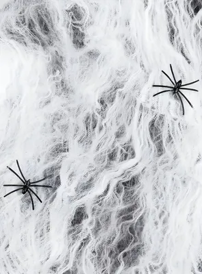 Produktbild von Halloween Spinnennetz weiß – 200 g