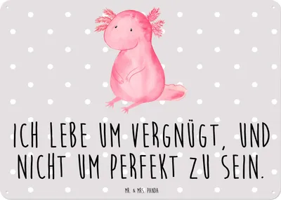 Produktbild von Mr. & Mrs. Panda Wandbild Axolotl Niedlich DIN A3 - Grau Pastell - Geschenk, Blechschild, Freundin, Liebe, tafel, Schild, Retro, Magnetschild, Zufrieden, Fröhlich