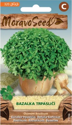 Image de Basilic nain 71706