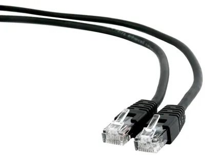 Image de gembird UTP Cat6 Patchkabel, 2m, schw.