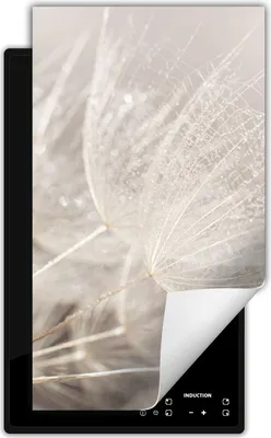 Produktbild von DarHaus Herdabdeckplatte 1 teilig 30x52 cm Anti Rutsch Matte Aufrollbar, grau - Blume
