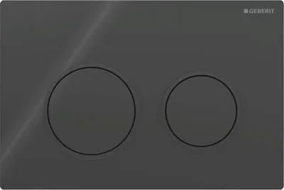 A close-up of a dark gray Geberit Omega20 flush plate with two circular buttons.