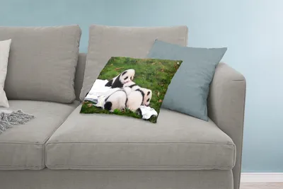 Produktbild von MuchoWow® Zierkissen Sofakissen Wohnzimmer Dekokissen 60x40 cm Pandas - Gras - Decke - Kopfkissen - Polster mit Foto