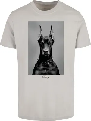 Immagine prodotto di Maglietta da uomo Mr. Tee Dawg Tee lightasphalt - XL