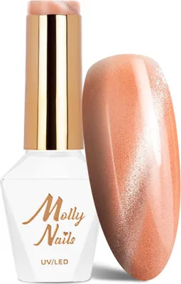 Image de Gel métallique Molly Nails Cat Eye n° 210, 8 g