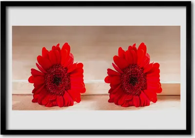Produktbild von Bild 100x70 MDF-Rahmen Wandkunst Blumen Pflanzen