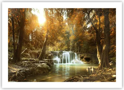 Produktbild von Poster - Poster ohne Rahmen - Park Wasserfall Wasser - 70x50 cm - Wand Bild - Wanddeko - Wandbilder - Kunstposter - Wandposter - Bilder - Kunstdruck - Wanddekoration - Wandbild - P2XAA70x50-3789