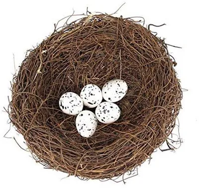 Produktbild von Kunstvogelnest mit 5 Faux Eiern - Handgefertigt - Rotangras - Unikale Dekoration für Ostern