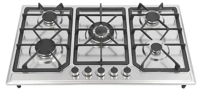 Image de Plaque de cuisson à gaz avec 5 brûleurs - Argent