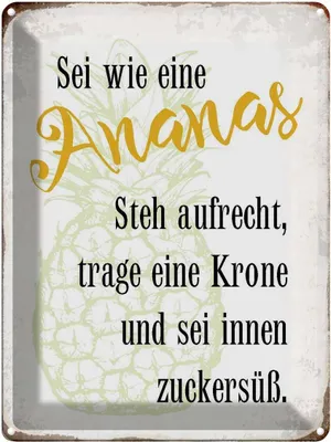 Produktbild von vianmo Blechschild 40x30 cm sei Ananas aufrecht zuckersüß Spruch Zitat