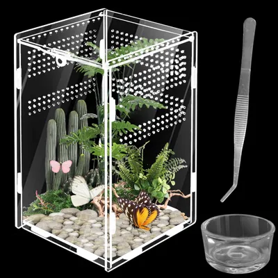Zdjęcie produktu dla Szkło terrarium, przenośne, o wymiarach 20 x 12 x 12 cm, przeznaczone dla pająków