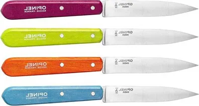Obrázek produktu pro Sada kuchařských nožů – 4 nože v různých barvách z nerezové oceli – zelená/modrá/oranžová/fialová – 19 x 2 x 1 cm – 4 kusy