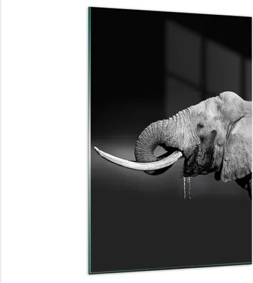 Produktbild von Bilder auf glas - Einteilig - Elefant Stoßzahn Natur - 80x120cm - Glasbilder - Wandbilder - Bilder - zum Aufhängen bereit - Wanddekoration aus Glas - Glas Bilder - Wandbild auf Glas - GPA80x120-3443