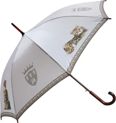 Produktbild von Von Lilienfeld® Automatik-Regenschirm GETIGERTE KATZEN